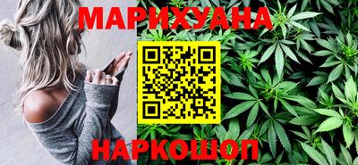 индика Кингисепп