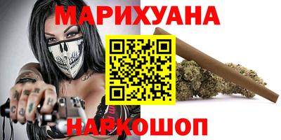 индика Кингисепп