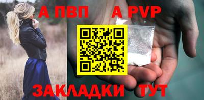 индика Кингисепп