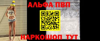 индика Кингисепп