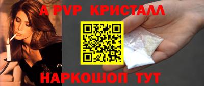 индика Кингисепп