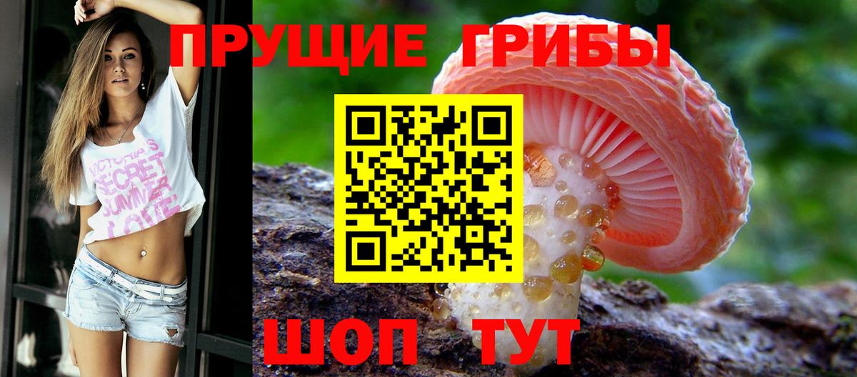 Кудымкар  Псилоцибиновые грибы мухоморы  Вход с VPN  Галлюциногенные грибы Cubensis 